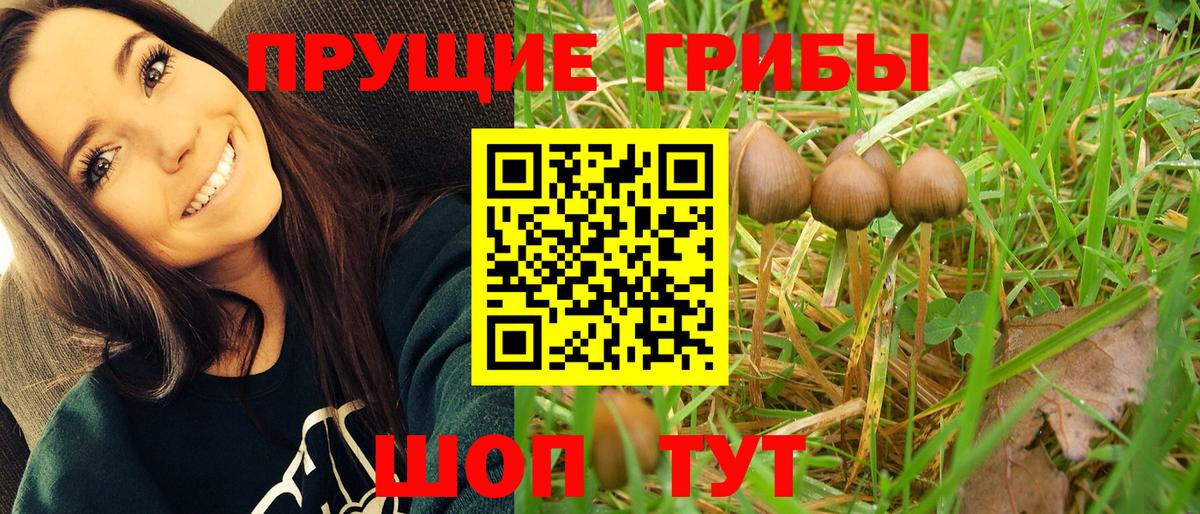 Надым  Псилоцибиновые грибы прущие грибы  Галлюциногенные грибы Magic Shrooms  Вход с VPN 