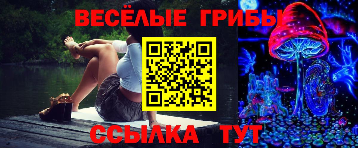Псилоцибиновые грибы GOLDEN TEACHER Надым